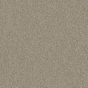 Anderson Tuftex Carpet On Point Taupestone 00754_ZZ012