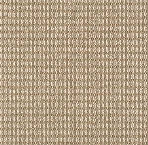 Anderson Tuftex Carpet Abbey'S Road Bamboo 00236_ZZ013