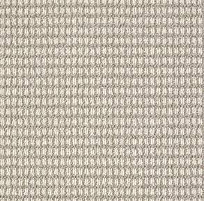 Anderson Tuftex Carpet Abbey'S Road Moonlit Silver 00572_ZZ013