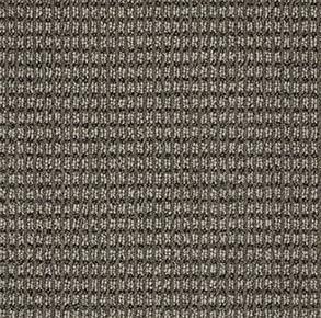 Anderson Tuftex Carpet Abbey'S Road Stylish Gray 00573_ZZ013