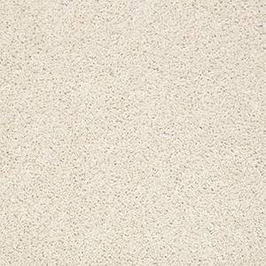 Shaw Floors Carpet Del Morro Swan 00110_ZZ021