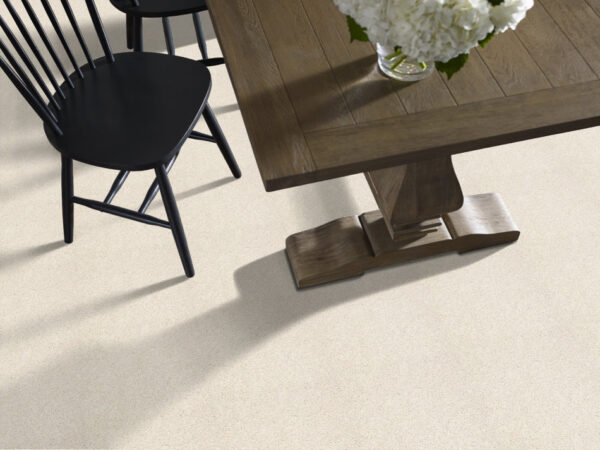 Shaw Floors Carpet Del Morro Swan 00110_ZZ021 - Image 2
