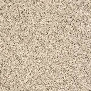 Shaw Floors Carpet Del Morro Brushed Ivory 00111_ZZ021
