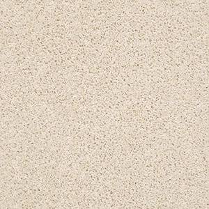 Shaw Floors Carpet Del Morro Luminary 00113_ZZ021