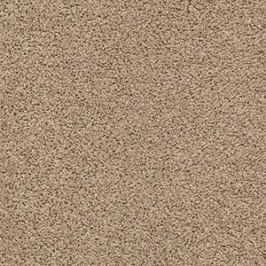 Shaw Floors Carpet Del Morro Midland 00119_ZZ021