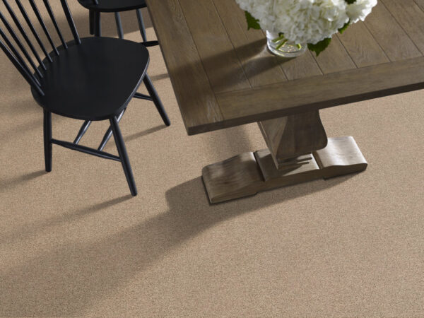 Shaw Floors Carpet Del Morro Midland 00119_ZZ021 - Image 2