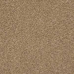 Shaw Floors Carpet Del Morro Crossroads 00170_ZZ021