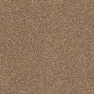 Shaw Floors Carpet Del Morro Rocky Ridge 00172_ZZ021