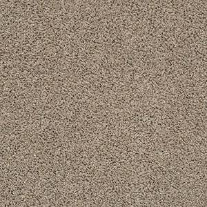 Shaw Floors Carpet Del Morro Nomadic 00513_ZZ021