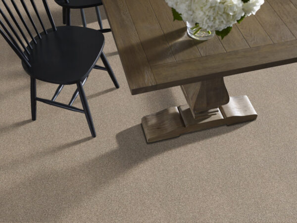 Shaw Floors Carpet Del Morro Nomadic 00513_ZZ021 - Image 2