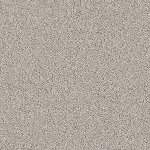 Shaw Floors Carpet Del Morro Gray Whisper 00515_ZZ021