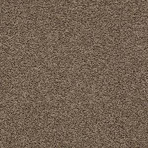 Shaw Floors Carpet Del Morro Fallen Rock 00517_ZZ021