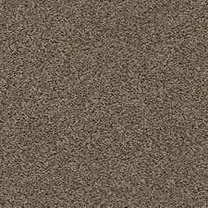 Shaw Floors Carpet Del Morro Denali 00518_ZZ021