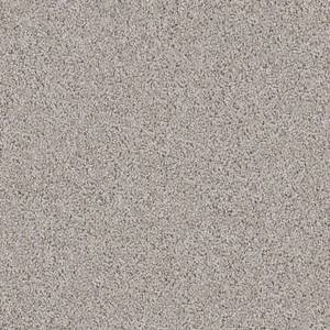 Shaw Floors Carpet Del Morro Valley Mist 00523_ZZ021