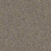 Shaw Floors Carpet Del Morro Silhouette 00524_ZZ021