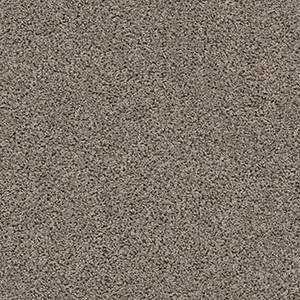 Shaw Floors Carpet Del Morro Silhouette 00524_ZZ021