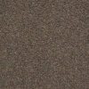 Shaw Floors Carpet Del Morro Shadow 00525_ZZ021