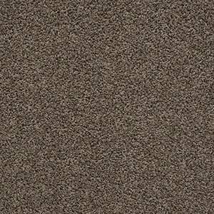 Shaw Floors Carpet Del Morro Shadow 00525_ZZ021