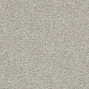 Shaw Floors Carpet Del Morro Lunar 00551_ZZ021