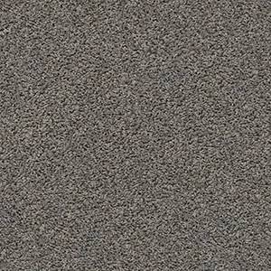 Shaw Floors Carpet Del Morro Anchor 00555_ZZ021