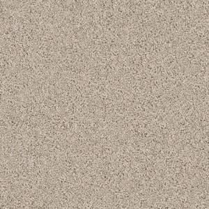 Shaw Floors Carpet Del Morro Agate 00712_ZZ021
