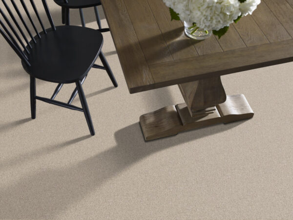 Shaw Floors Carpet Del Morro Agate 00712_ZZ021 - Image 2