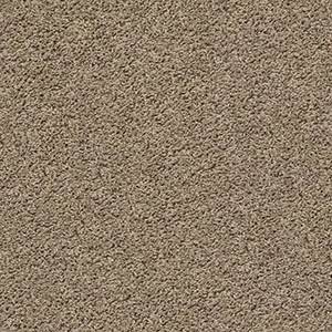 Shaw Floors Carpet Del Morro Drift 00714_ZZ021