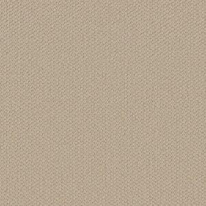 Shaw Floors Carpet Cathedral Hill II Enlightened 00102_ZZ040