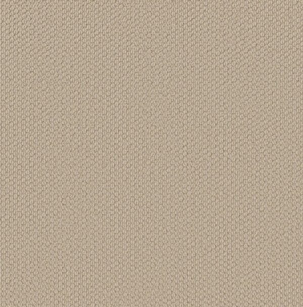 Shaw Floors Carpet Cathedral Hill II Enlightened 00102_ZZ040