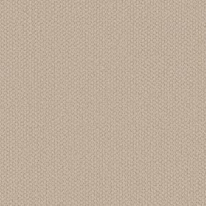 Shaw Floors Carpet Cathedral Hill II Short Bread 00110_ZZ040