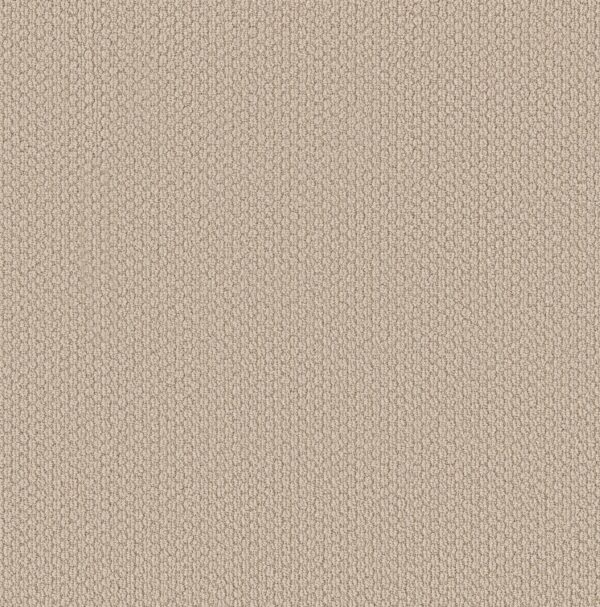 Shaw Floors Carpet Cathedral Hill II Short Bread 00110_ZZ040