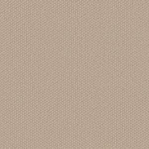 Shaw Floors Carpet Cathedral Hill II Brushed Ivory 00111_ZZ040
