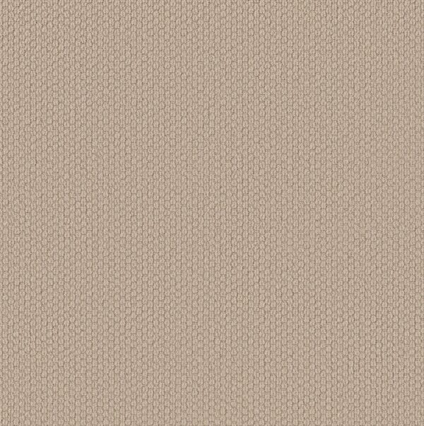 Shaw Floors Carpet Cathedral Hill II Brushed Ivory 00111_ZZ040