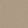 Shaw Floors Carpet Cathedral Hill II Feather 00114_ZZ040