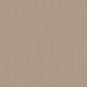 Shaw Floors Carpet Cathedral Hill II Feather 00114_ZZ040