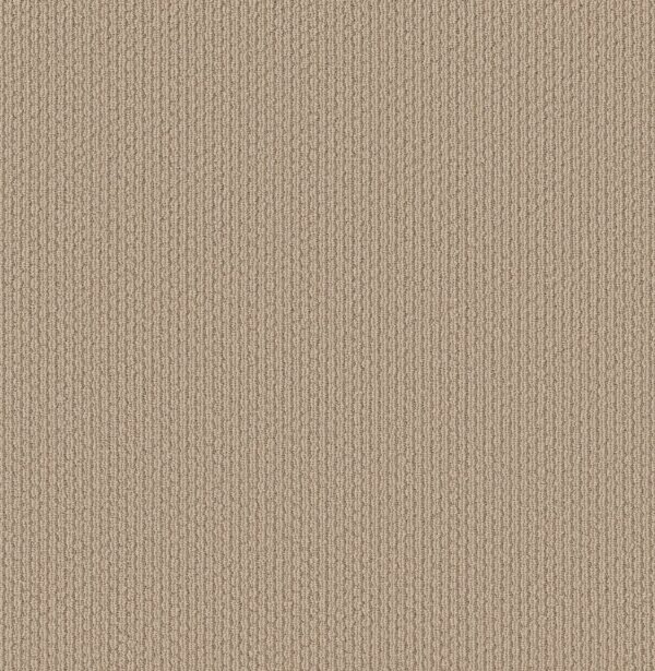 Shaw Floors Carpet Cathedral Hill II Feather 00114_ZZ040