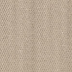 Shaw Floors Carpet Cathedral Hill II Creampuff 00130_ZZ040