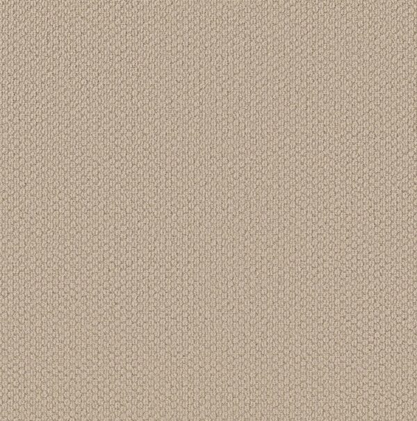 Shaw Floors Carpet Cathedral Hill II Creampuff 00130_ZZ040
