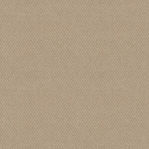 Shaw Floors Carpet Cathedral Hill II Glowing 00132_ZZ040
