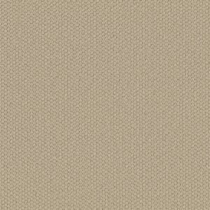 Shaw Floors Carpet Cathedral Hill II Grecian Stone 00152_ZZ040
