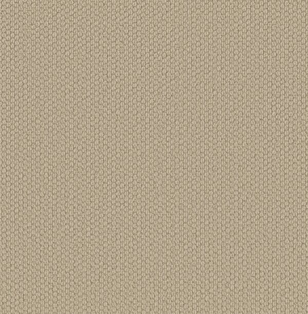 Shaw Floors Carpet Cathedral Hill II Grecian Stone 00152_ZZ040