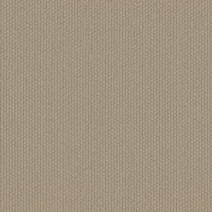 Shaw Floors Carpet Cathedral Hill II Smoky Pearl 00154_ZZ040