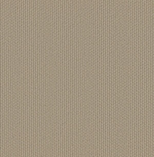 Shaw Floors Carpet Cathedral Hill II Smoky Pearl 00154_ZZ040