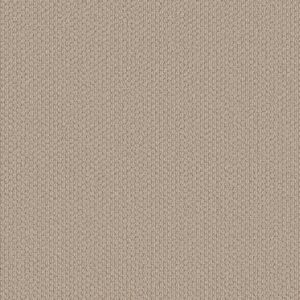 Shaw Floors Carpet Cathedral Hill II Cake Batter 00162_ZZ040