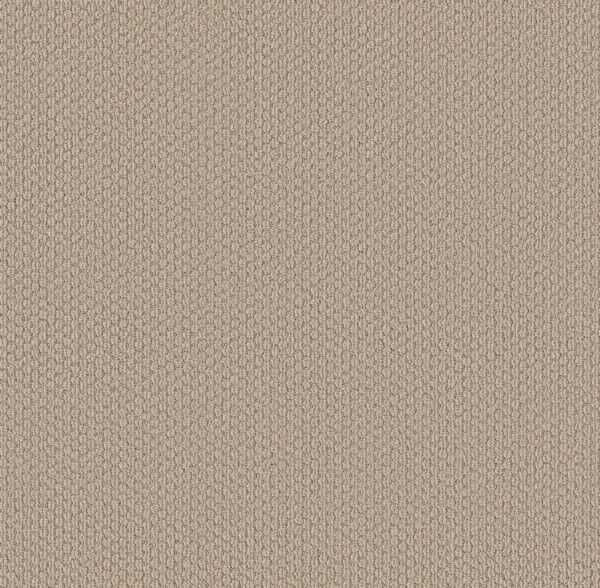 Shaw Floors Carpet Cathedral Hill II Cake Batter 00162_ZZ040