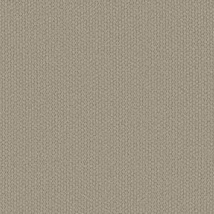 Shaw Floors Carpet Cathedral Hill II Timeless 00170_ZZ040