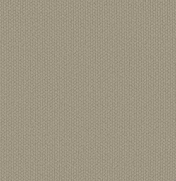 Shaw Floors Carpet Cathedral Hill II Timeless 00170_ZZ040