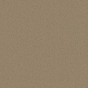 Shaw Floors Carpet Cathedral Hill II Sand Dune 00172_ZZ040