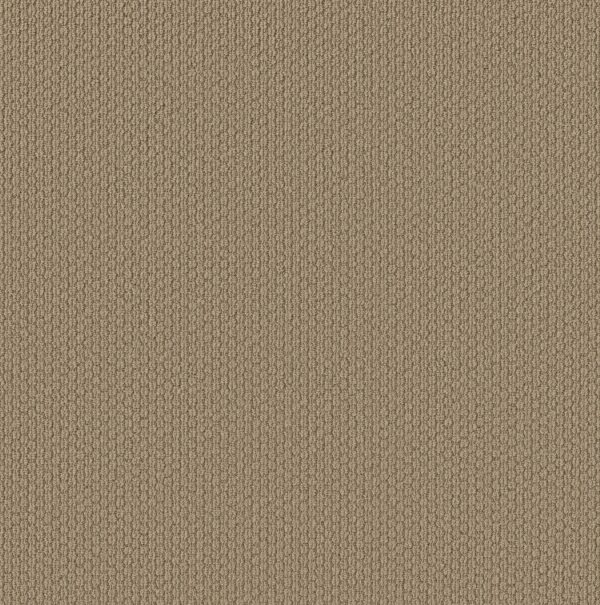 Shaw Floors Carpet Cathedral Hill II Sand Dune 00172_ZZ040