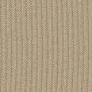 Shaw Floors Carpet Cathedral Hill II Antique Linen 00225_ZZ040